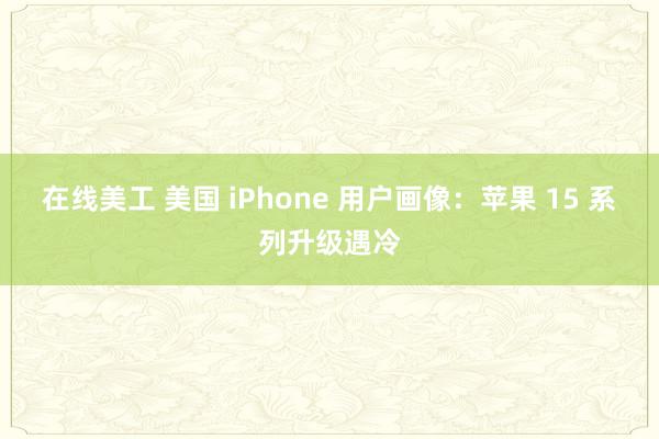 在线美工 美国 iPhone 用户画像：苹果 15 系列升级遇冷