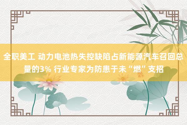 全职美工 动力电池热失控缺陷占新能源汽车召回总量的3% 行业专家为防患于未“燃”支招